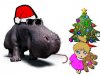 hippo.jpg