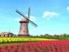windmill.JPG