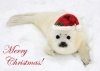 ChristmasSeal.jpg