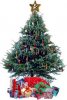 large-christmas-tree.jpg
