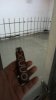 IMG-20210709-WA0013.jpeg