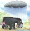 eeyore-sad.jpg