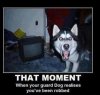 gaurddog.jpg