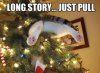cat-saturday-141.jpg