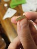 20210816_203638.jpg