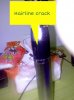PicsArt_1356148868536.jpg