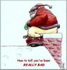 Funny-christmas-pictures-e1324051461912.jpg