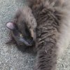 20220720_072954.jpg