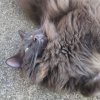 20220720_072956.jpg
