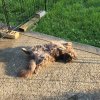 20220720_073629.jpg
