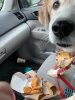 daphne mcdonalds 2.jpg