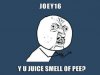 JOEY.jpg