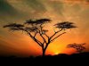Samburu Hills Sunrise, Samburu Game Reservation, Kenya.jpg