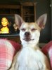 doggggggyyy.jpg