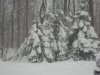 DSC00199 - Copy.jpg