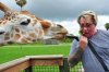 giraffe2.jpg