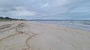20220911_062738.jpg