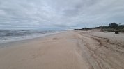 20220911_062441.jpg
