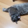 20210820_072959.jpg