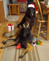 Both boys Xmas 2022.png