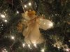DSC00208 - Copy.jpg