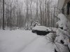 DSC00198 - Copy.jpg