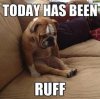 ruff.jpg