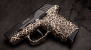davidsons-sccy-dvg-cheetah-lede.jpg