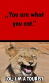 lion-food.jpg