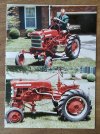 51 Farmall Cub.jpg