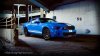 Shelby9.jpg
