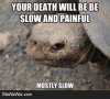 mostlyslow.jpg