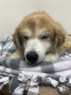 daphne last day.jpg