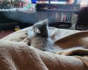 20230902_183947.jpg
