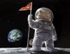 space_cat.jpg