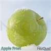 NicQuid2-1.jpg