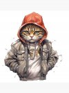 urban cat.jpg