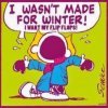 Florida Winter.JPG