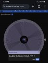 Screenshot_20240515_111359_Chrome~2.jpg
