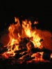 animated_bonfire_campfire_real.jpg