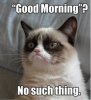grumpycatgoodmorning_zpsfbaa3ba2.jpg