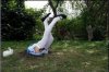 funny-awesome-photos-16.jpg