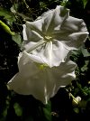 IMG_3429.jpeg