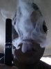 20130126_142921.jpg