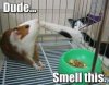 smellthis.jpg