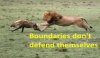 BoundariesIICOMP.jpg