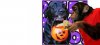 halloween dog.jpg