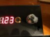 vapecoil 005.jpg