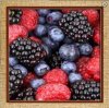 EcoBerry.jpg