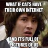 catss.jpg